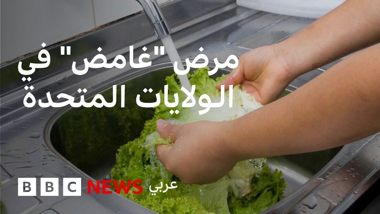 �� ��� ����� ������ ���� ��� ������� ��������ɿ
 - نشر قبل 9 دقيقة
