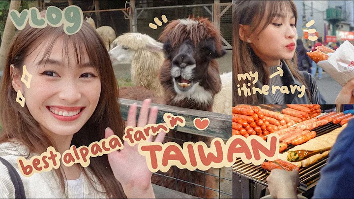 where to visit in Taipei?? - Take me to Taiwan ♥️🇹🇼 | SPEISHI - DayDayNews