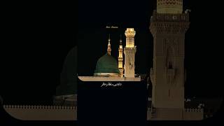 assalam e jane alam 🥺😭❤️🫀 #foryou #reel #madina #viral #makkah #shortvideo