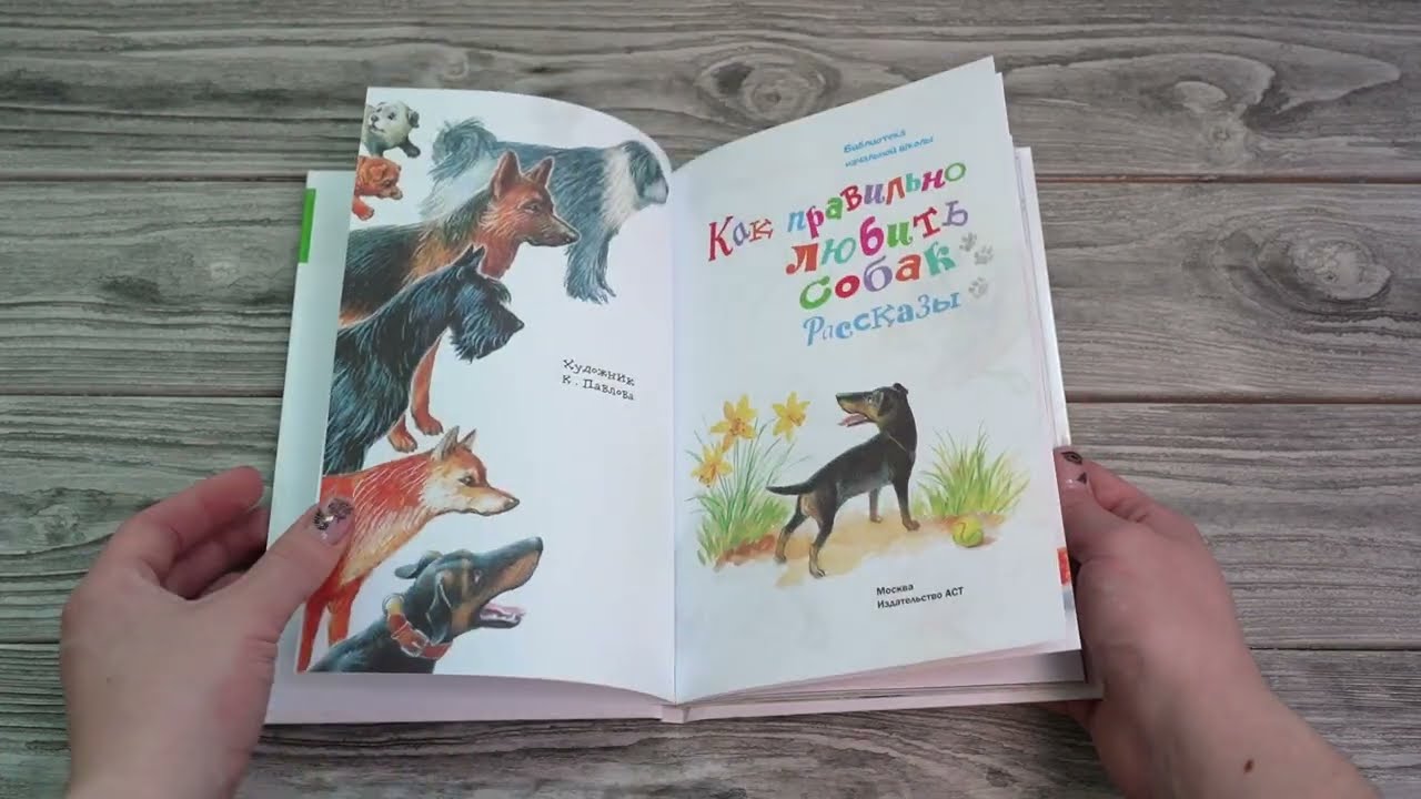 Листаем книгу "Как правильно любить собак. Рассказы"