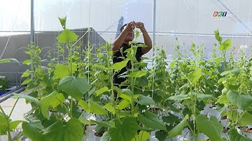 Thu hút đầu tư vào nông nghiệp ứng dụng công nghệ cao tăng mạnh | BRTgo