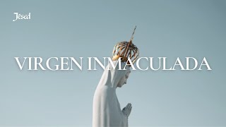 Video thumbnail of "Virgen Imaculada (Lyric Video)"