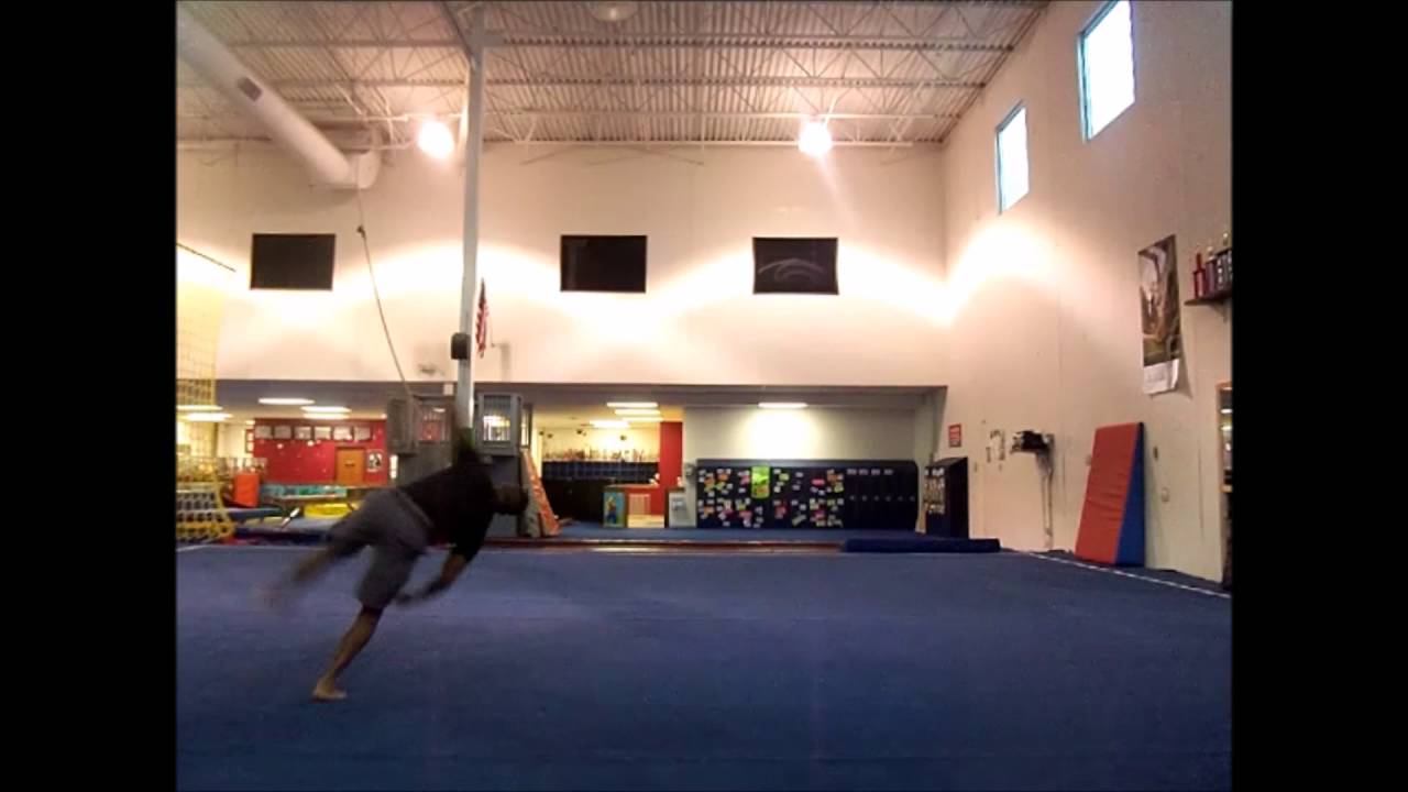 Adrian Taylor// 2016