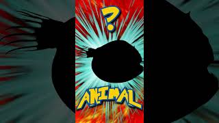 Who&#39;s That ANIMAL?! (ep. 61) #shorts #animals #quiz | Animal Fact Files