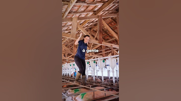 Como ver se a fêmea suína está em cio? Veja como é feita a detecção na Granja Peru de Suínos #porco