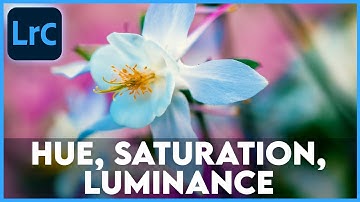 HUE, SATURATION, LUMINANCE (HSL) || 30 Days of Lightroom