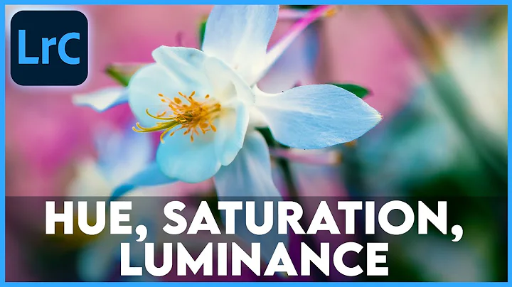HUE, SATURATION, LUMINANCE (HSL) || 30 Days of Lightroom