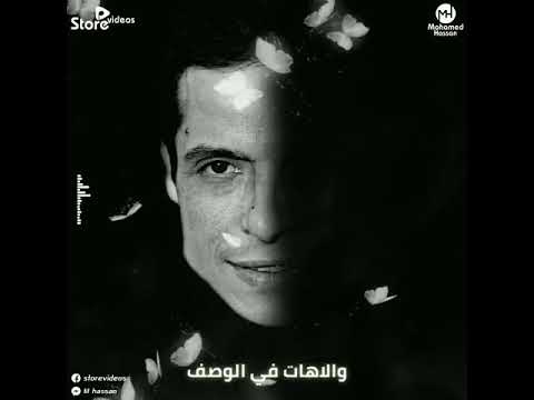 عامر منيب ايوه دايب قلبي فيا 