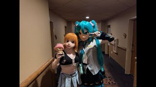 Nami & Miku Stream CCE