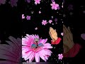 Rishta Aisa Rakho ki Uska Ant Na Ho @ComedyCrittersShorts#motivation #shortsfeed #shorts #short #yt