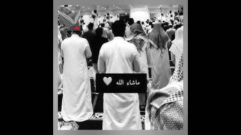 تلاوة خاشعة وآيات مباركة من سورة البقرة📚|القارئ عمر الدريويز|حالات واتس اب إسلامية💞