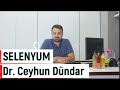 Dr ceyhun dndar  selenyum