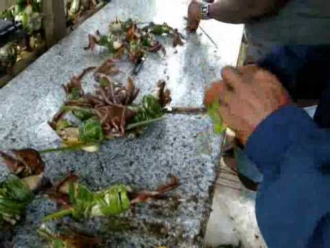 The Crab Vendor Trinidad