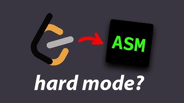 i tried LeetCode in assembly