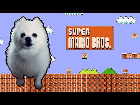 SUPER MARIO BROS em CACHORRÊS | NOSTALGIA