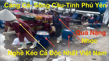 Ngư Dân Sông Cầu-Tỉnh Phú Yên Trúng Hàng Chục Tấn Cá.Hố,Và Tôm Biển Một Mùa Bội Thu