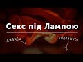 Секс під лампою: З’ясовуємо те, чому не вчать в школах, вишах і взагалі ніде не вчать