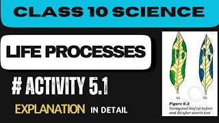 Activity 5.1 Class 10 Science Chapter 5 Life Processes Explanation in detail