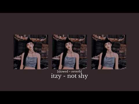 𝙄𝙏𝙕𝙔- 𝙉𝙤𝙩 𝙎𝙝𝙮 ( 𝙨𝙡𝙤𝙬𝙚𝙙 )