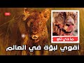 هزمت التماسيح و الاسود والشيطانة القصة الكاملة لأم الاسود وأقوي لبؤة في العالم ما دي تاو 