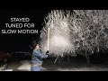 Tree Rime Ice Removal