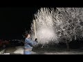 Tree Rime Ice Removal