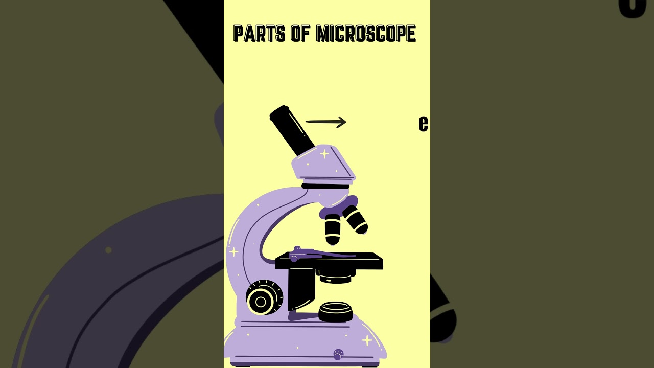 "Quick Guide to Microscope Parts –Microscope Basics" 
