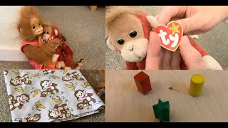 For Jilly: Ty Beanie Babies Collection Schweetheart Orangutan Baby, Monkey Fabric & Shape Sorter