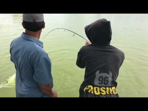 Mancing Tambak Tlocor Wak Kaji Youtube