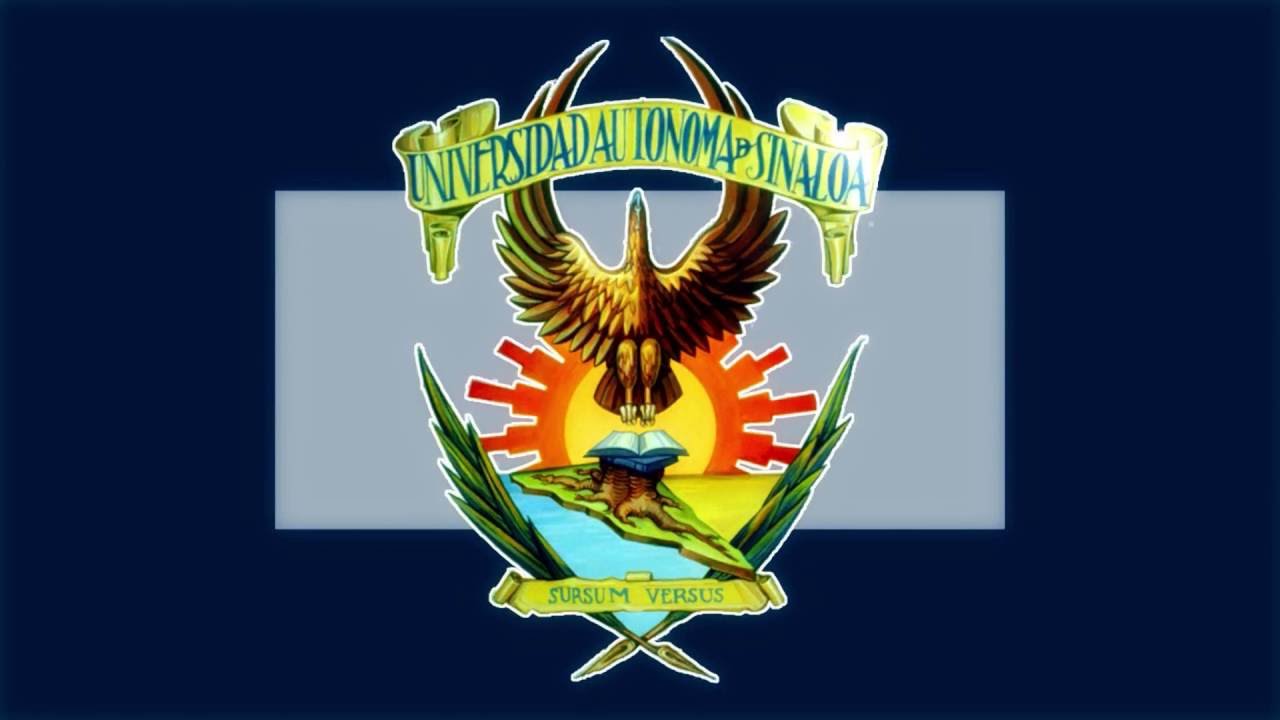 educación a distancia Breves UAS - 18 de Agosto de 2016