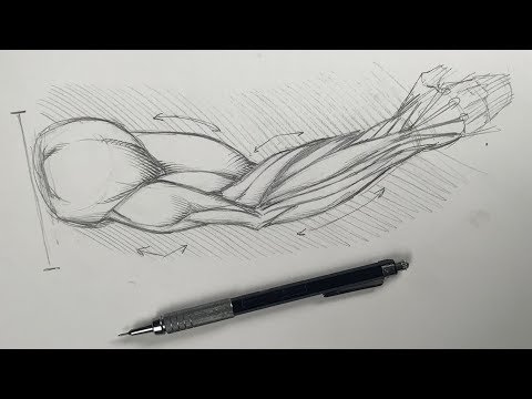 Female Figure Drawing Lesson ( Starting with the Spine ) 