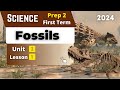 Fossils Prep 2 Unit 3 Lesson 1 Science Fossils Prep 2 Unit 3 Lesson 1 Science