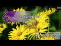 [MAGICSING Karaoke] KANE BROWN/SWAE LEE/KHALID - BE LIKE THAT karaoke | pop
