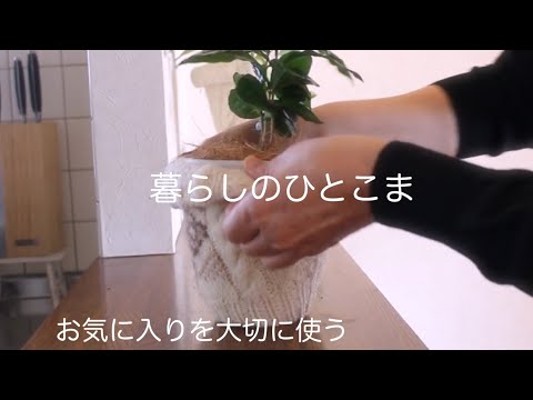 【60代暮らしのvlog】和食で始まるささやかな1日/お気に入りの手入れ/セーターリメイク/白菜シュウマイ　　＃ささやかな暮らし　＃犬のいる暮らし