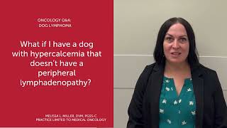 Onco Q&A Dog Lymphoma