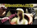 香川の白味噌あんもち雑煮！ の動画、YouTube動画。