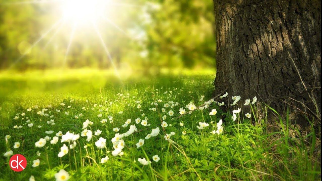 Village Nature Photography || My Village Pic's with Relax Music.