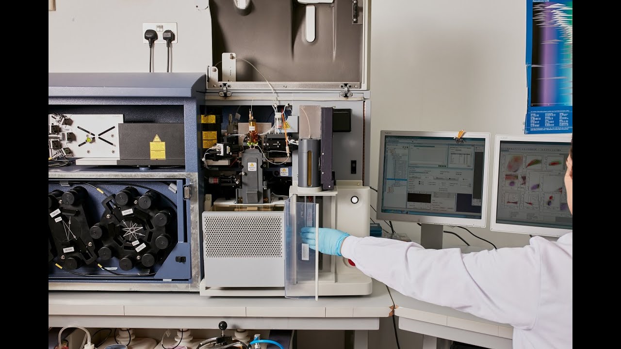 UCD Conway Flow Cytometry Core Facility - YouTube