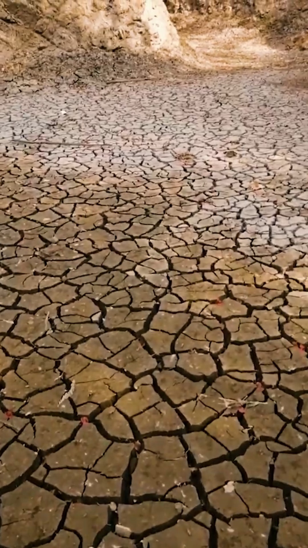 La mejor idea para que nunca falte agua en tu casa