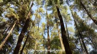 Download Lagu Terakhir-Cover Cindi Cintya Dewi || (Faizus Sa'adah Nakhumam_09) MP3 Download Lagu Terakhir-Cover Cindi Cintya Dewi || (Faizus Sa'adah Nakhumam_09) MP3