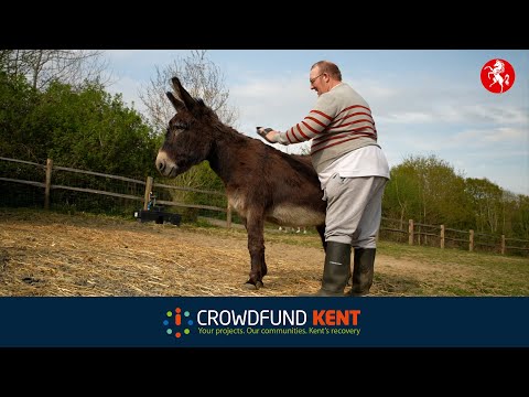 Crowdfund Kent Programme – Aspens Donkey Stables