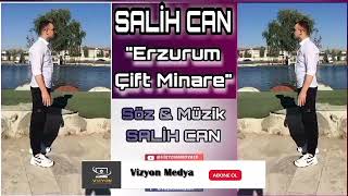 Salih Can - Erzurum Çift Minare Resimi