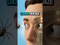 The 300 million year old spider reflex you can't control #evolution #fear