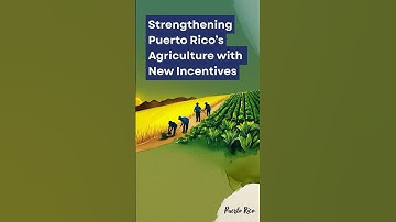 Puerto Rico’s Agriculture Incentives #boricua #puertorico #usda #usa #farming #farmer #farm #finca