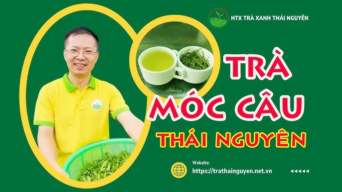 Top 10 Đặc Điểm Nổi Bật Của Chè Thái Nguyên Tân Cương Chính Gốc