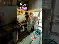 maa love #funny