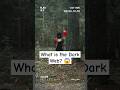 What is the Dark Web? 😱 #shorts
