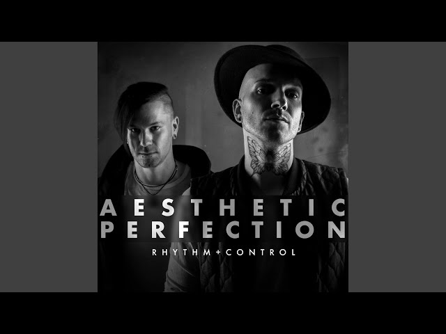 aesthetic perfection - rhythm  control (electro version) (w)