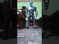 Anik 1234 ROR