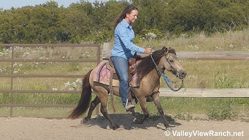 JJ - jogging, loping, stops - ValleyViewRanch.net